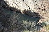 IMG_0660.JPG IMG_0660.JPG