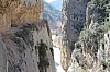 IMG_0684.JPG IMG_0684.JPG