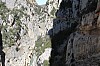 IMG_0690.JPG IMG_0690.JPG