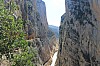 IMG_0719.JPG IMG_0719.JPG